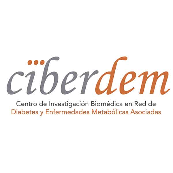 ciberdem-logo
