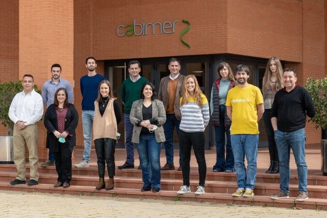 BL001 fármaco potencial contra la Diabetes 1 - Fundación DiabetesCERO